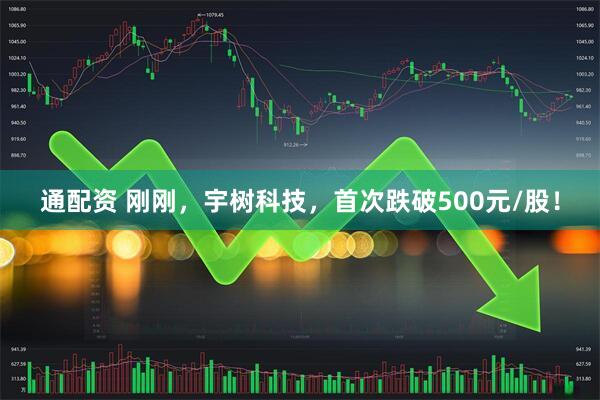 通配资 刚刚，宇树科技，首次跌破500元/股！